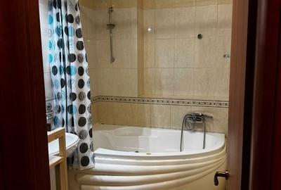 Apartament cu 2 camere semidecomandat, mobilat în Andrei Mureșanu - 5