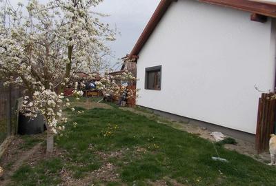 Casă cu 3 camere cu Teren 316 Mp în Dumbrăvița