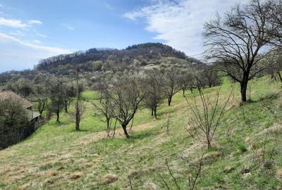 Teren Construcții intravilan de 13700 mp, în Inuri - 1