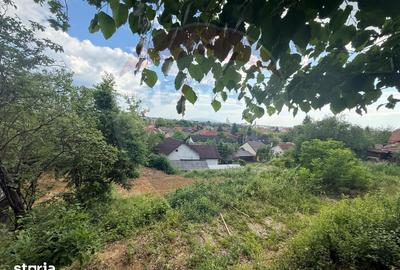 Teren de 760 mp, în Griviței