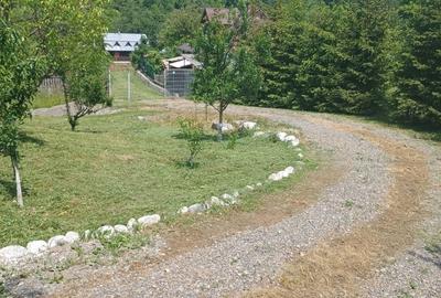 Teren de 800 mp, în Ibănești - 1