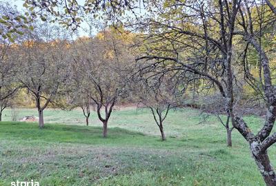 Teren de 600 mp, în Central - 2