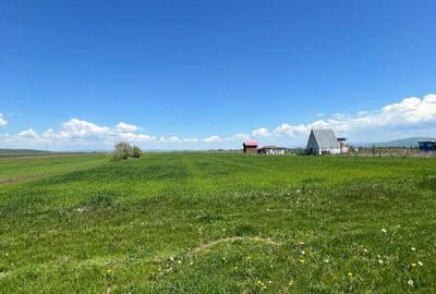 Teren de 13400 mp, în Ilieni - 14