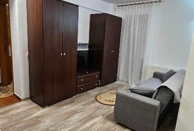 Inchiriere studio mobilat și utilat Greenfield - 6