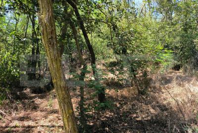 Teren 3000 mp - 1200 mp intravilan, zona Cuparu - 5