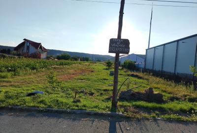 Spațiu comercial, în Argeșelu - 8