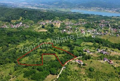 Teren de 20698 mp, în Valea lui Enache - 11