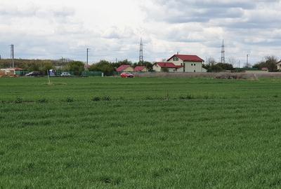 Teren langa padure si utilitati,800 mp - 20