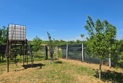 Teren Construcții intravilan de 1200 mp, în Varlaam - 4
