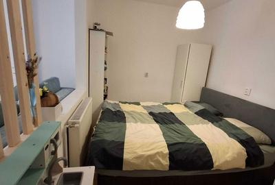 Apartament cu 2 camere nedecomandat în Tilișca - 3