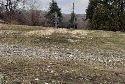 Teren de 25000 mp, în Șugag - 5