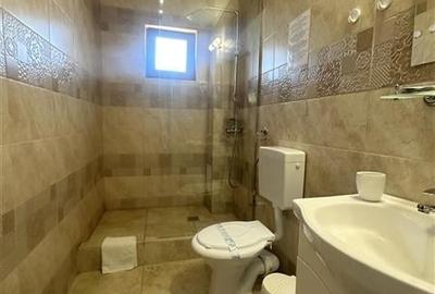 Pensiune Moderna si Profitabila in Vama Veche - Business la Cheie - 18