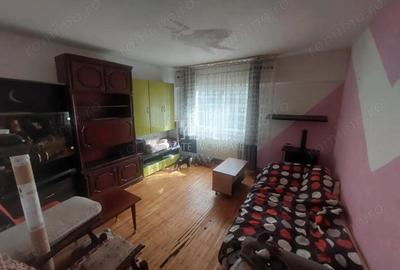 Apartament 1 Camera, De Vanzare, Dambu Pietros - 2