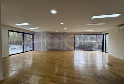 PRIMAVERII | APARTAMENT OFFICE SAU COMERCIAL |  207 MP UTILI | TERASA | - 2