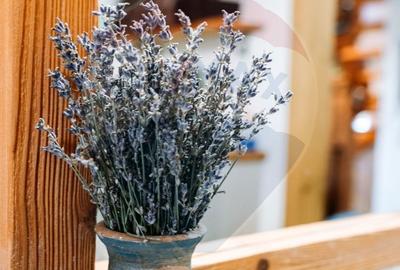 Casă cu 5 camere cu Teren 550 Mp în Ciurila - 17