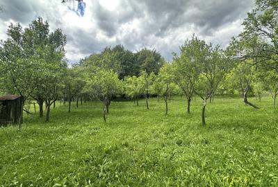 Teren intravilan 3102mp zona Racovita-Blanoiu - 6