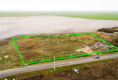 Teren de 5000 mp, în Sânnicolau Român - 8
