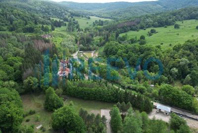 Teren Construcții intravilan de 1262 mp, în Luncani - 4