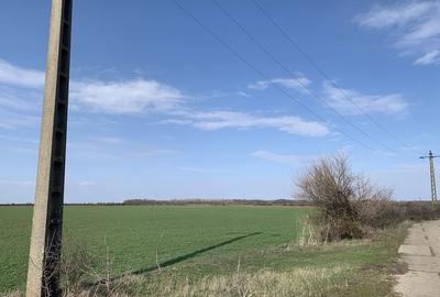 Teren de 100000 mp, în Turnu