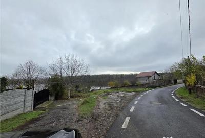 Teren de 16000 mp, în Brănești - 3