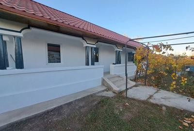 Casă cu 2 camere în Spineni - 7