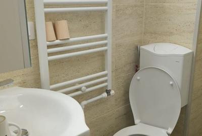 Garsonieră nedecomandată, mobilată în Țiglina 1 - 11