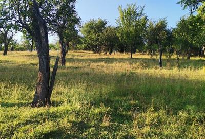 Teren de 2700 mp, în Dobreni - 9