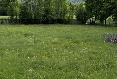 Teren de 3000 mp, în Exterior Vest - 1