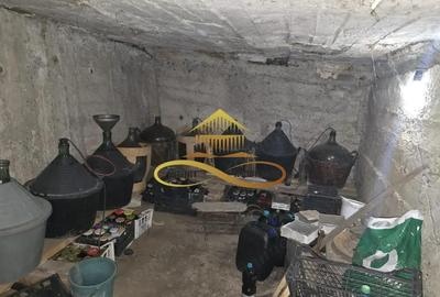 Casa de vanzare cu 5000 mp teren in Parincea cu livada si iaz - 8