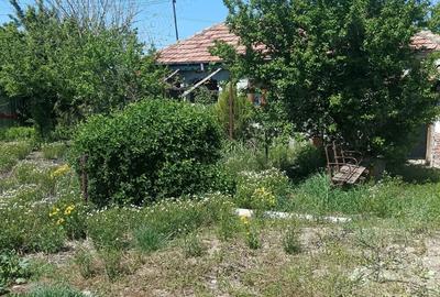 Vand casa batraneasca sat ciresanu com Baba Ana judetul Prahova casa compusa din trei camere plus de - 6