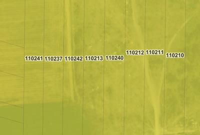 Teren intravilan cu o suprafață de 5000 m2 Teren intravilan cu o suprafață de 5000 m2 - 3