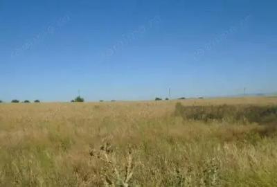 Teren Extravilan Galbenu, cota parte 1/2, ID: R2639994
