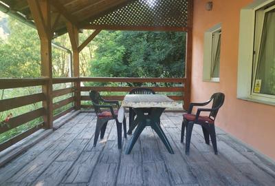 Cabana excelenta in sat Salard com Lunca Bradului jud Mures - 2