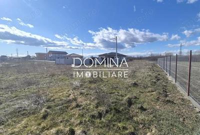 Teren de 1184 mp, în Drăguțești - 2