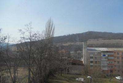 Teren de 500 mp, în Dărmănești - 2