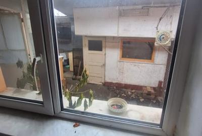 Km. 5 - Viile Noi, casa 4 camere, libera, pe colt - 10