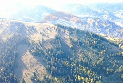 Teren extravilan de 47732 mp, în Panaci - 6