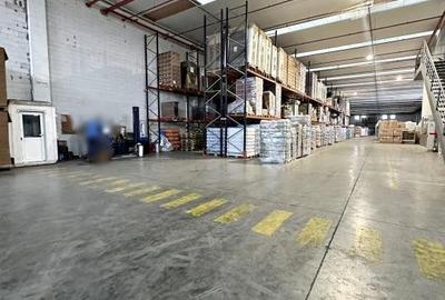 Gaminvest Hala de inchiriat, Parcul Industrial Bors , Bihor - 3
