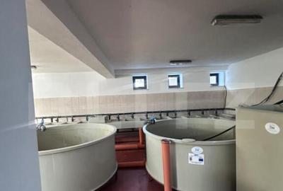 Pensiune/Ferma pescicola la cheie, teren 4000 mp, zona Molid - 1