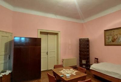 Casa de vanzare – zona centrala, locatie excelenta, front stradal 10m - 4