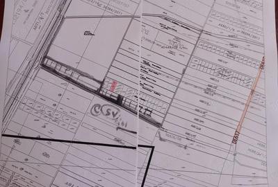 Teren de 839 mp, în Chișoda