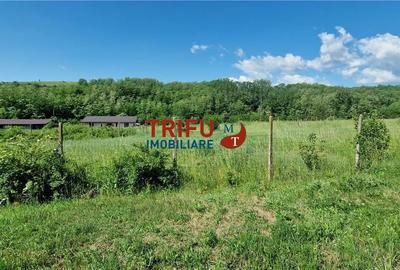Teren de 772 mp, în Ciugud - 10