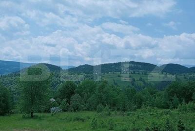 Spațiu comercial, în Scărișoara - 7