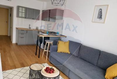 Apartament/Studio de inchiriat Aviatiatiei Park - 3