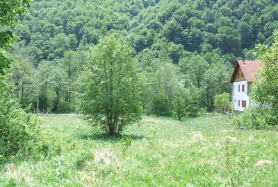 Raul Mare Retezat, Parcul National Retezat, Judetul Hunedoara Raul Mare Retezat, Parcul National Retezat, Judetul Hunedoara - 7