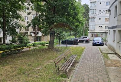 Garsoniera 21 mp, Dorohoi, Botosani - 18