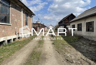 Teren intravilan 16000 mp + hale Calea Surii Mici - 2