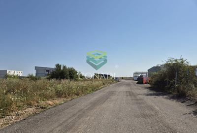 Teren Construcții intravilan de 10000 mp, în Nord - 12