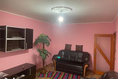 Apartament cu 2 camere decomandat, mobilat în Bistrița Lac - 2