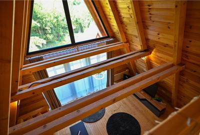 Casă cu 9 camere cu Teren 5700 Mp în Moieciu - 6